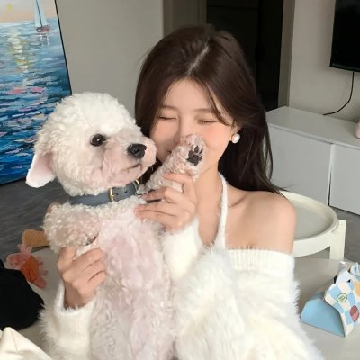 爱爱囧事